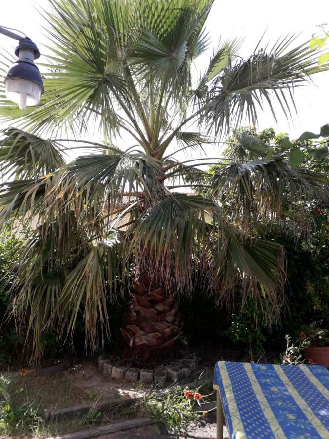 Rez De Chaussee Studio Climatise Dans Villa Aigues-Mortes Zewnętrze zdjęcie